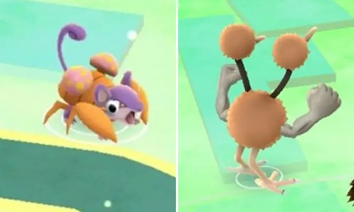 pokemon go glitches rattata paras doduo geodude combined spawn issue